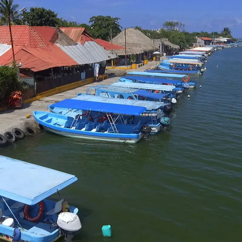 Lanchas turísticas de color azul alineadas junto al muelle en el embarcadero de Tecolutla, Veracruz, listas para iniciar los recorridos hacia los manglares locales.